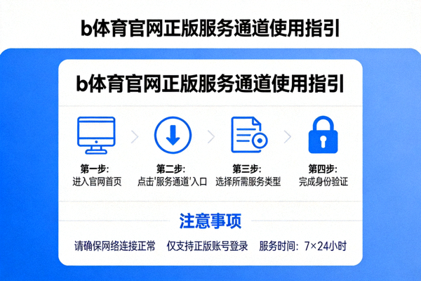 b体育官网正版服务通道使用指引说明页面示意图