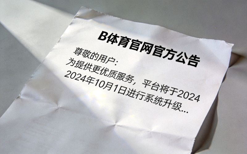 B体育官网官方公告文件照片